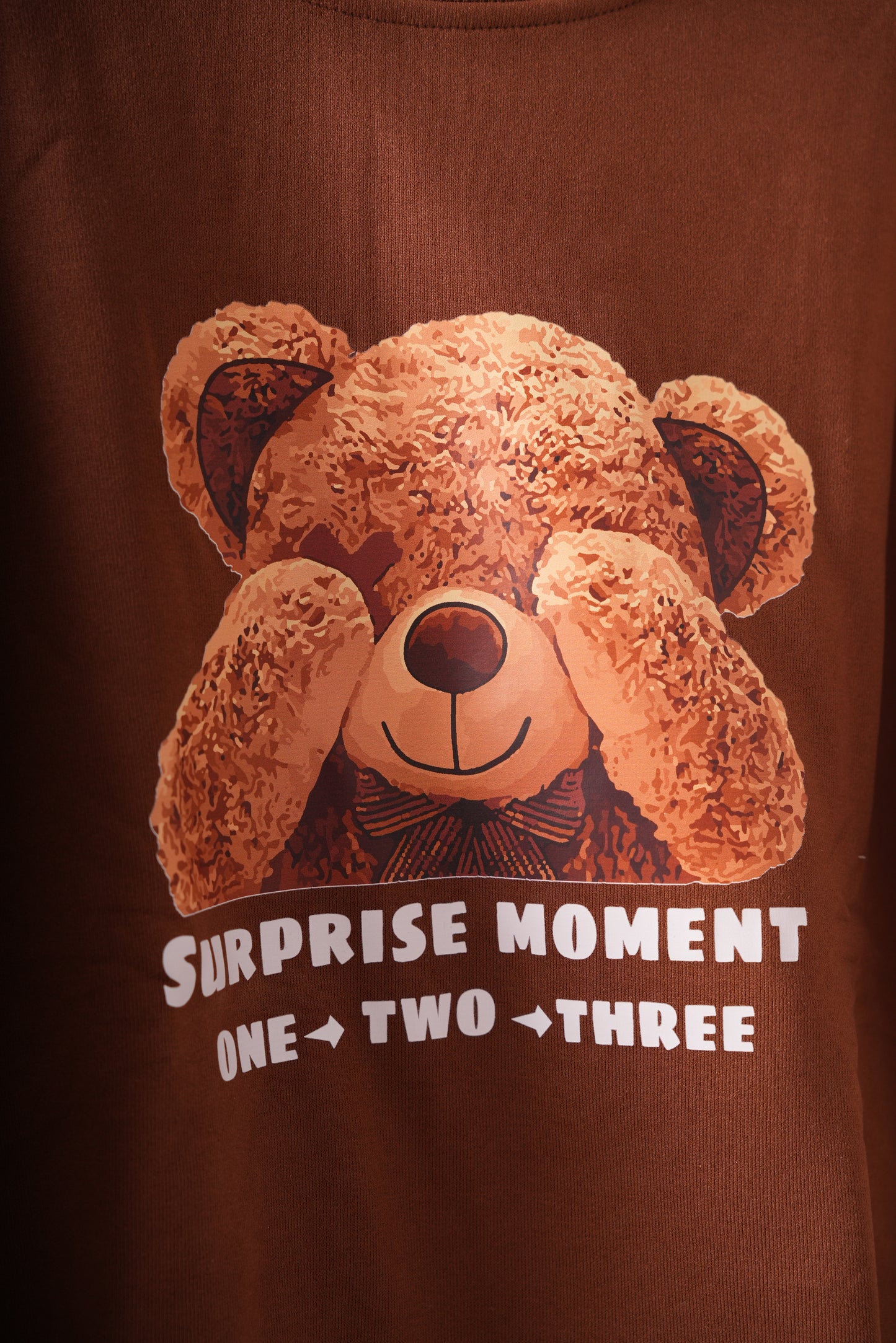 Shy bear sweater