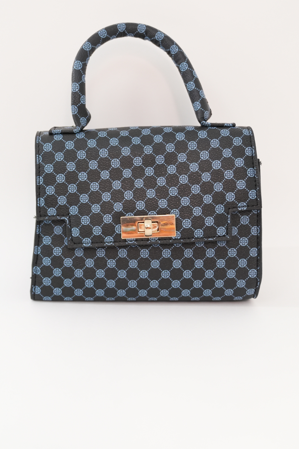 Mini handbag - white and blue