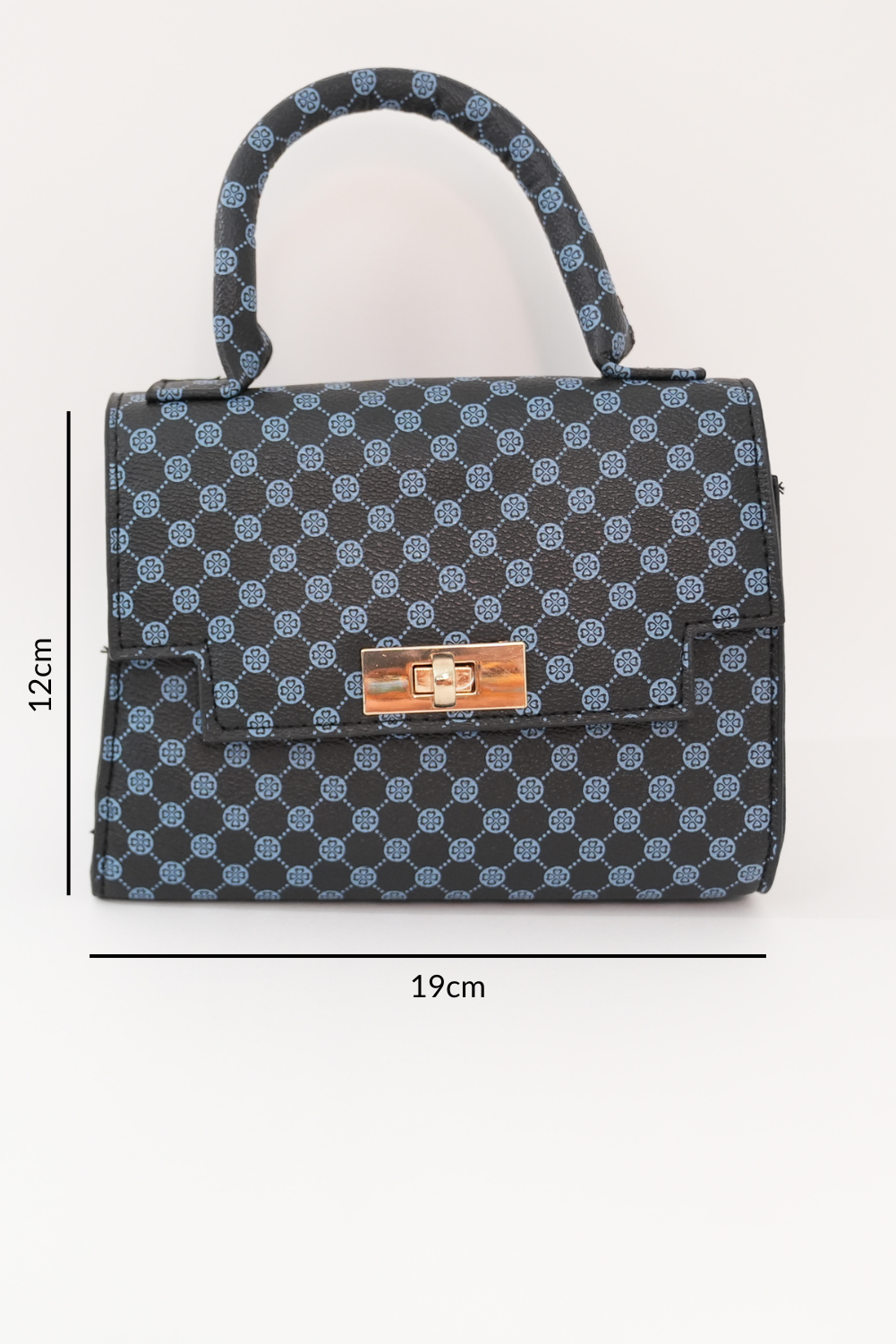 Mini handbag - white and blue